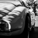 Illustration for article titled Get me some Spotted Dick!: Pictures from the All British Motor Show